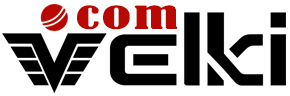 Velki Site Logo